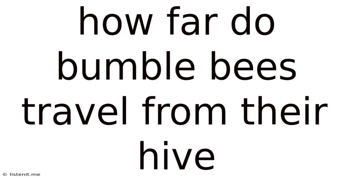 How Far Do Bumble Bees Travel From Their Hive