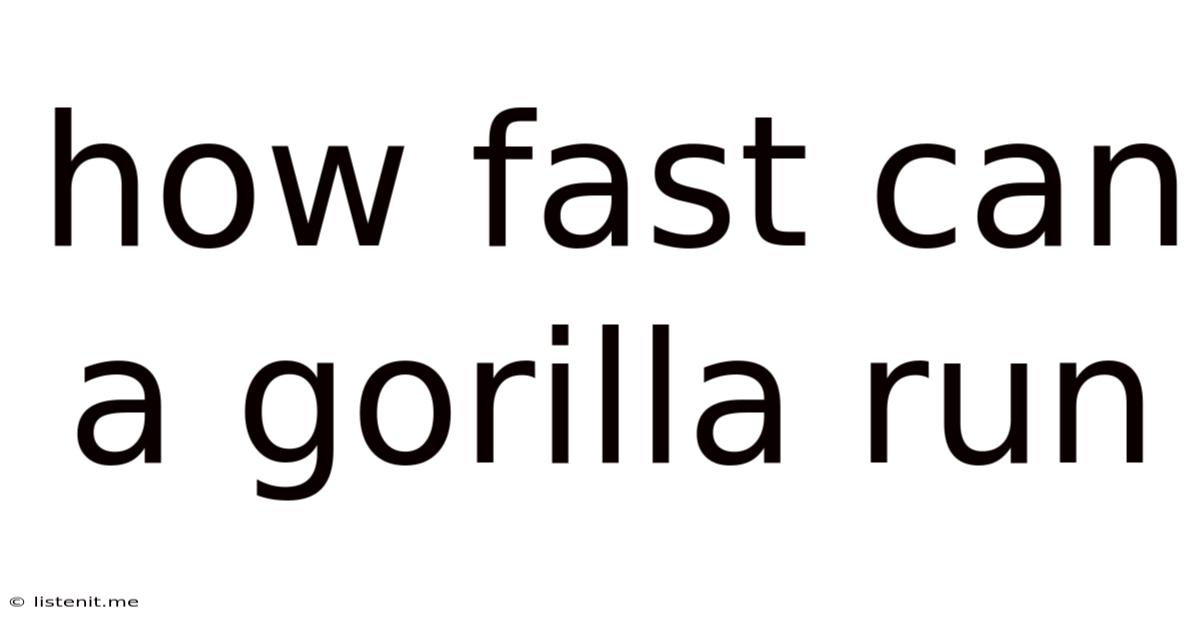 How Fast Can A Gorilla Run