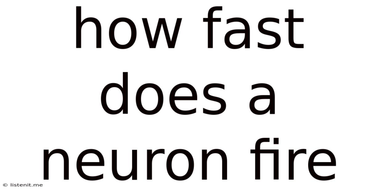How Fast Does A Neuron Fire