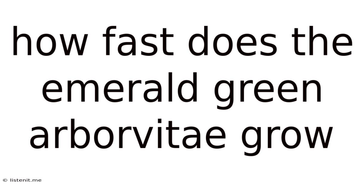 How Fast Does The Emerald Green Arborvitae Grow