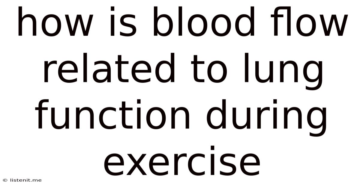 How Is Blood Flow Related To Lung Function During Exercise