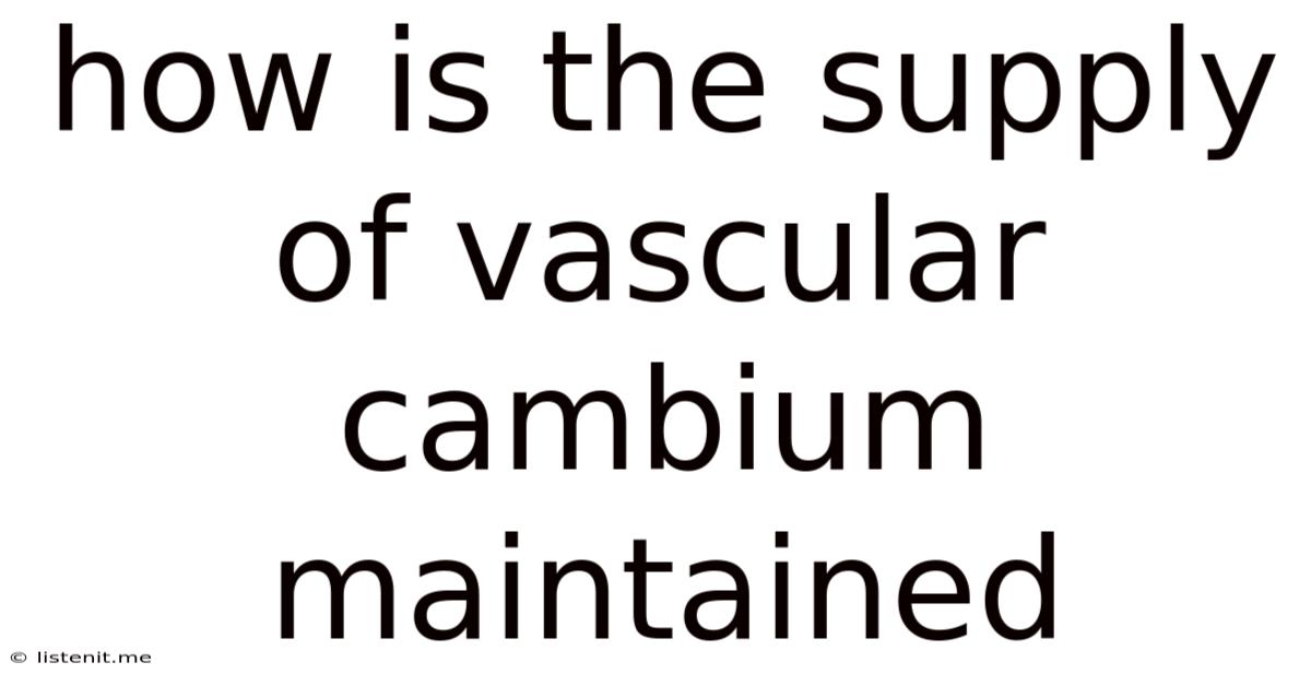 How Is The Supply Of Vascular Cambium Maintained