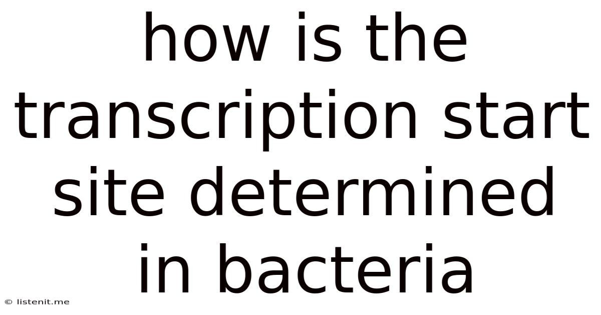 How Is The Transcription Start Site Determined In Bacteria