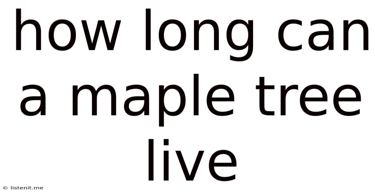How Long Can A Maple Tree Live