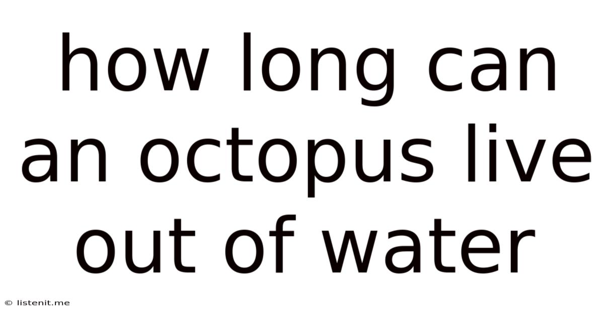 How Long Can An Octopus Live Out Of Water