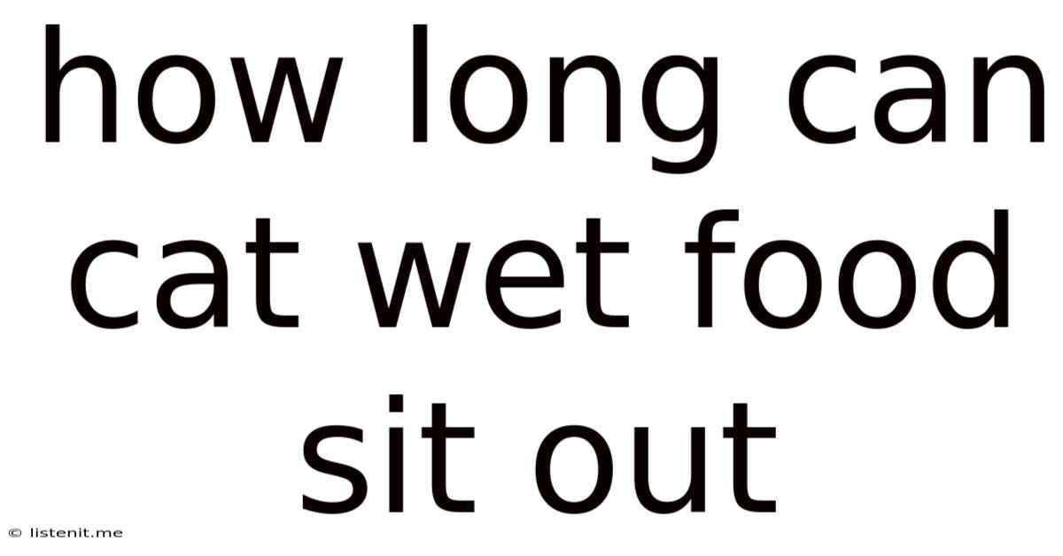 How Long Can Cat Wet Food Sit Out