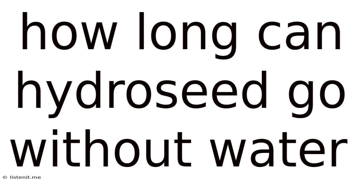 How Long Can Hydroseed Go Without Water