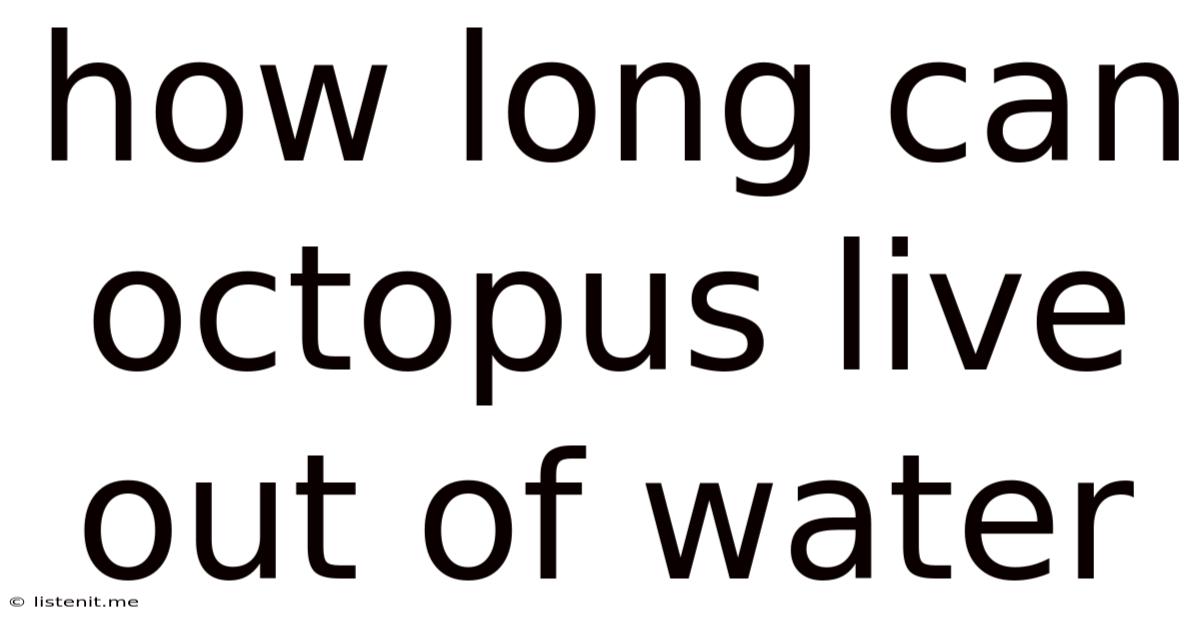 How Long Can Octopus Live Out Of Water