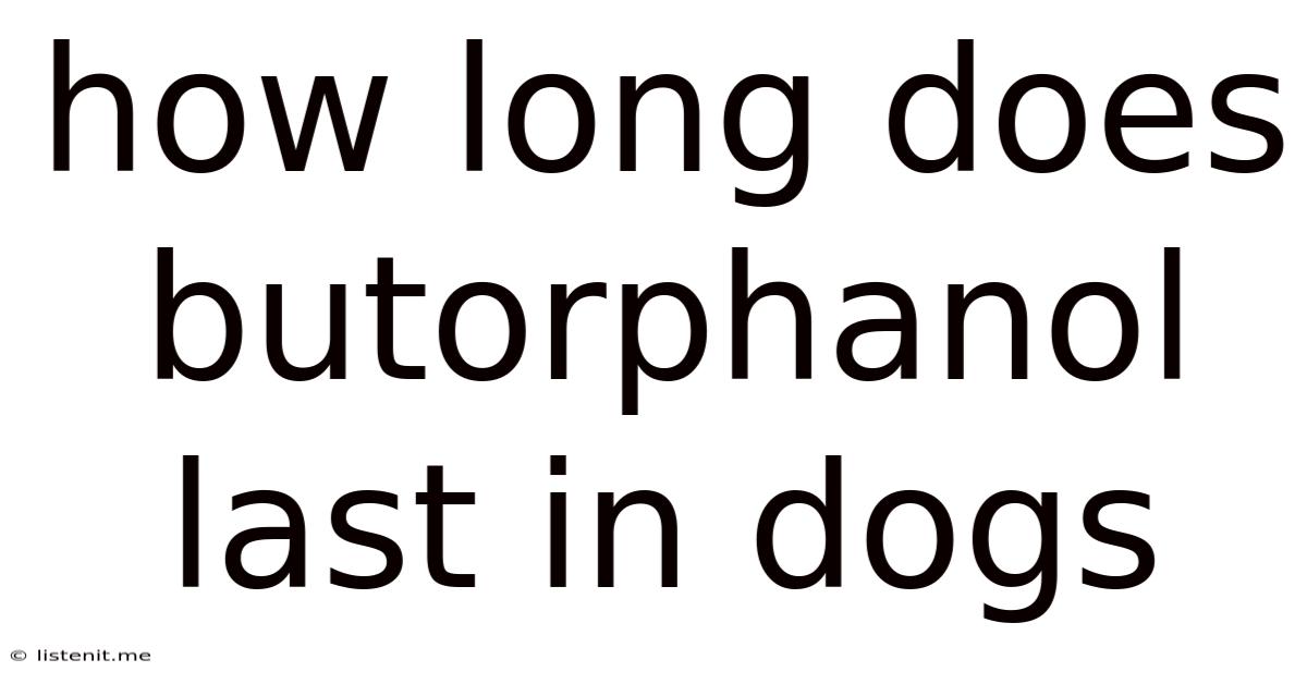 How Long Does Butorphanol Last In Dogs