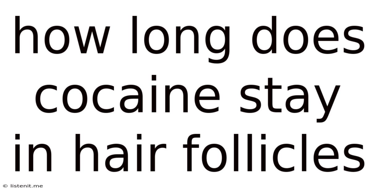 How Long Does Cocaine Stay In Hair Follicles