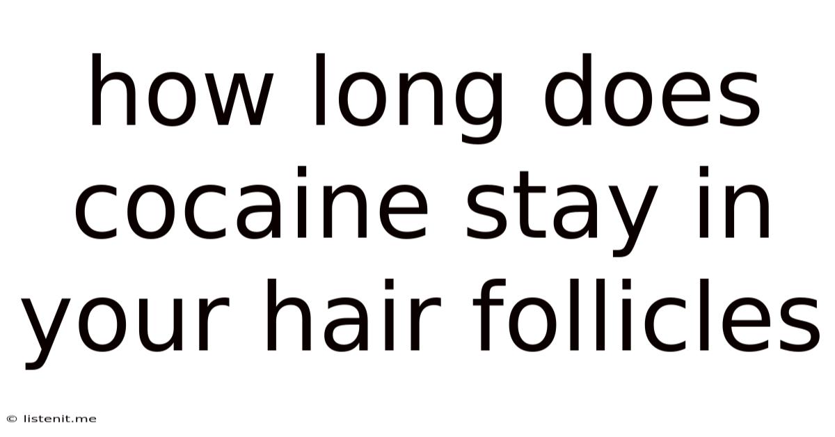 How Long Does Cocaine Stay In Your Hair Follicles