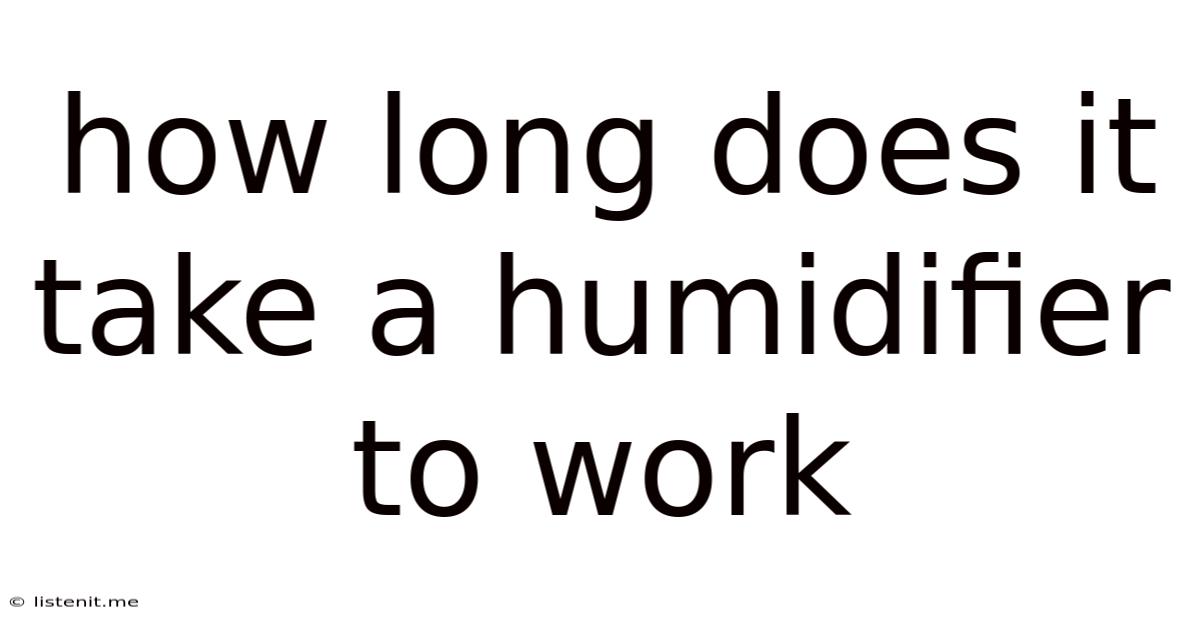 How Long Does It Take A Humidifier To Work