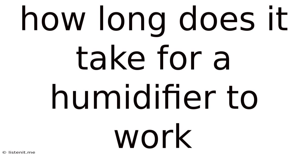 How Long Does It Take For A Humidifier To Work