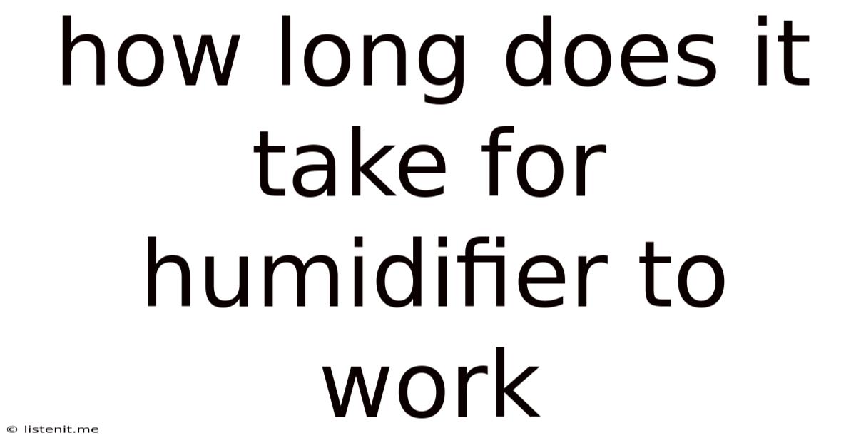 How Long Does It Take For Humidifier To Work