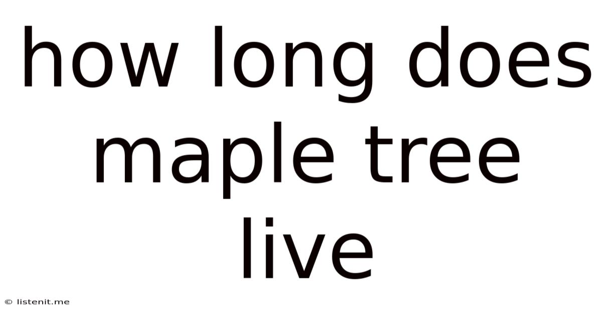 How Long Does Maple Tree Live