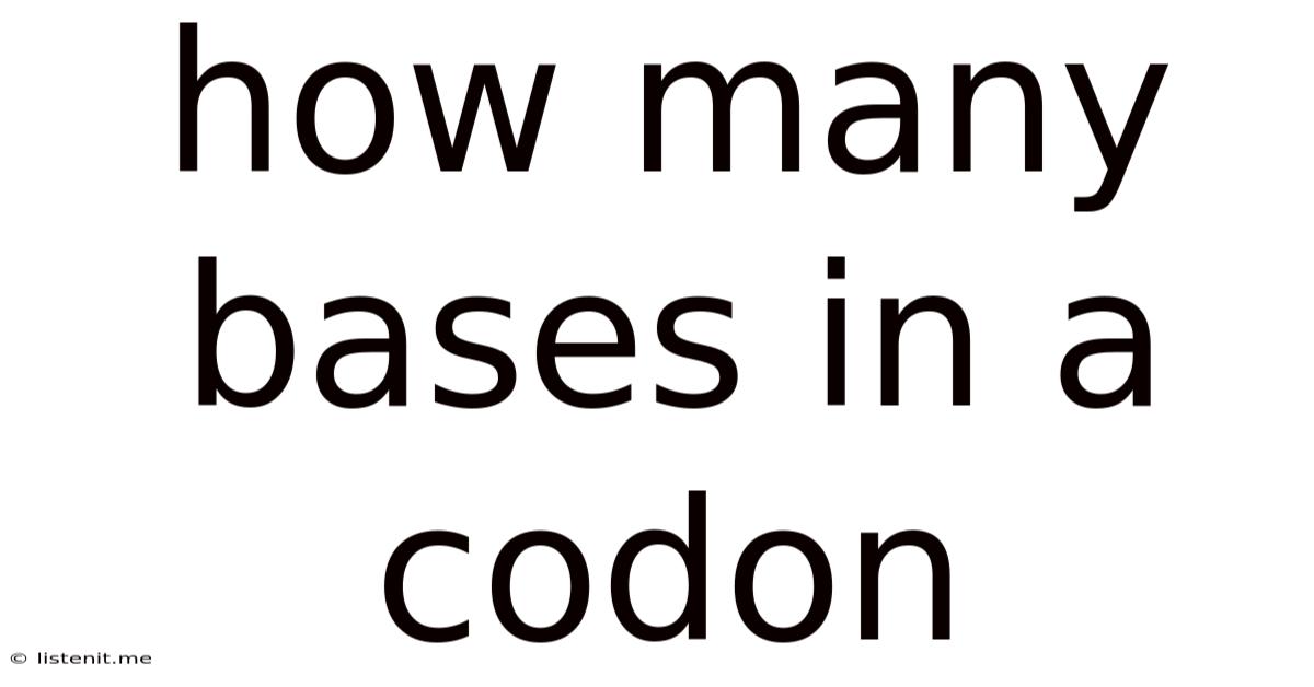 How Many Bases In A Codon