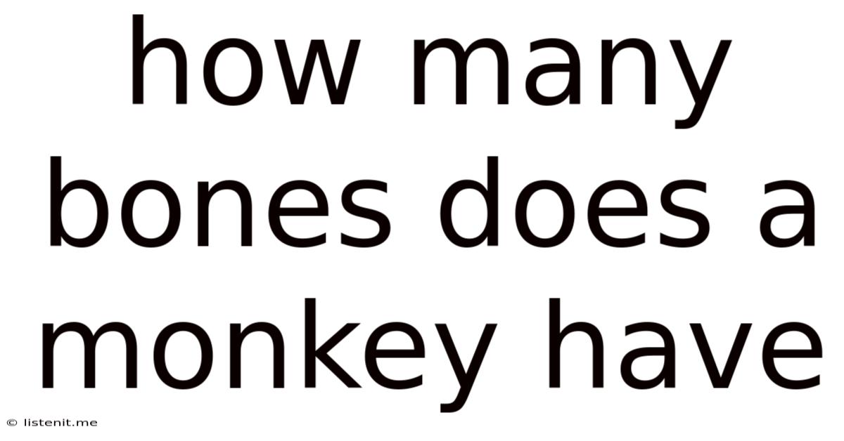 How Many Bones Does A Monkey Have