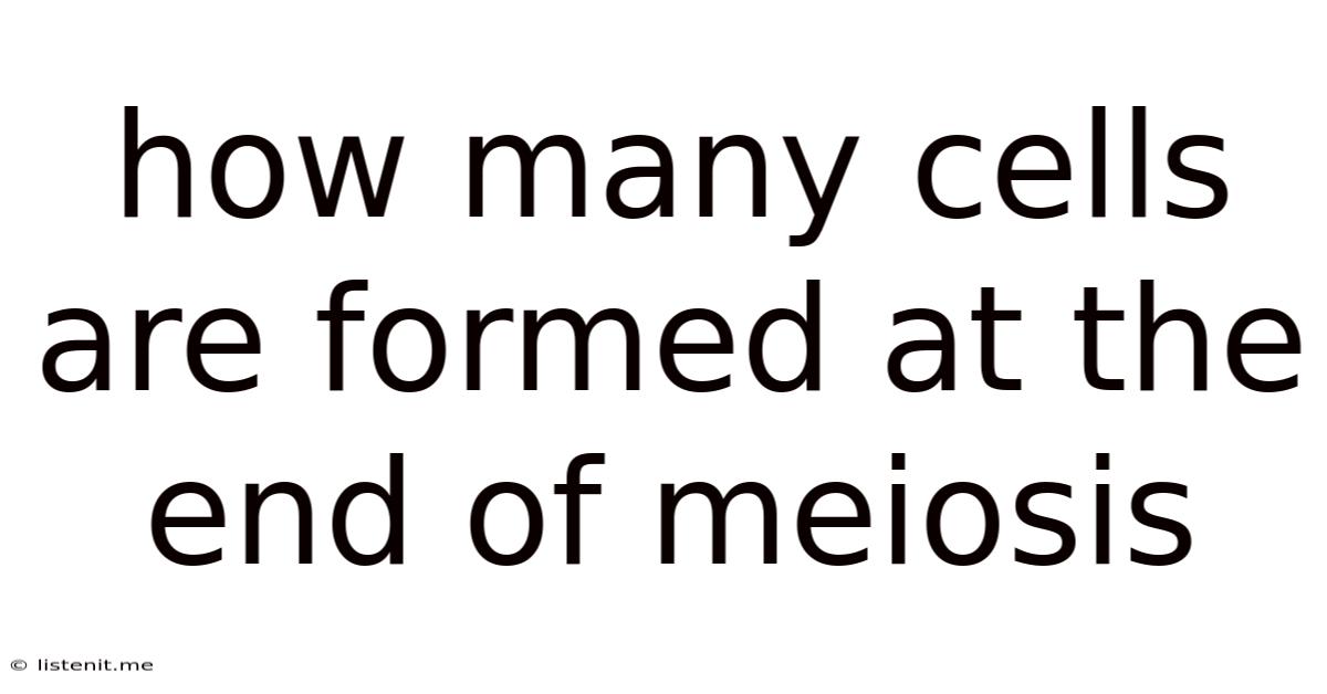 How Many Cells Are Formed At The End Of Meiosis