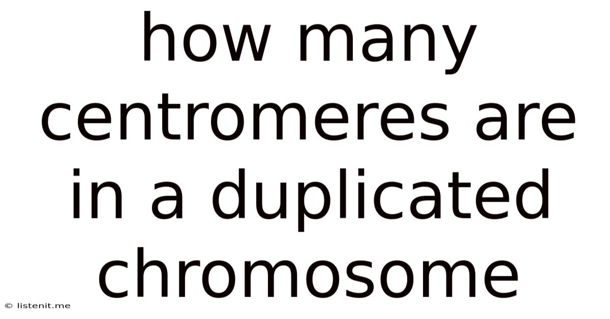 How Many Centromeres Are In A Duplicated Chromosome