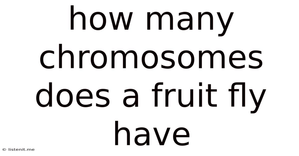 How Many Chromosomes Does A Fruit Fly Have