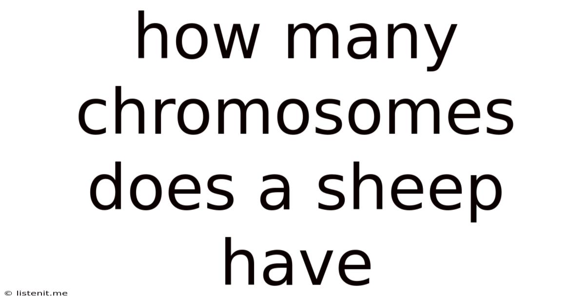 How Many Chromosomes Does A Sheep Have