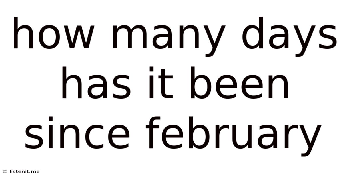 How Many Days Has It Been Since February