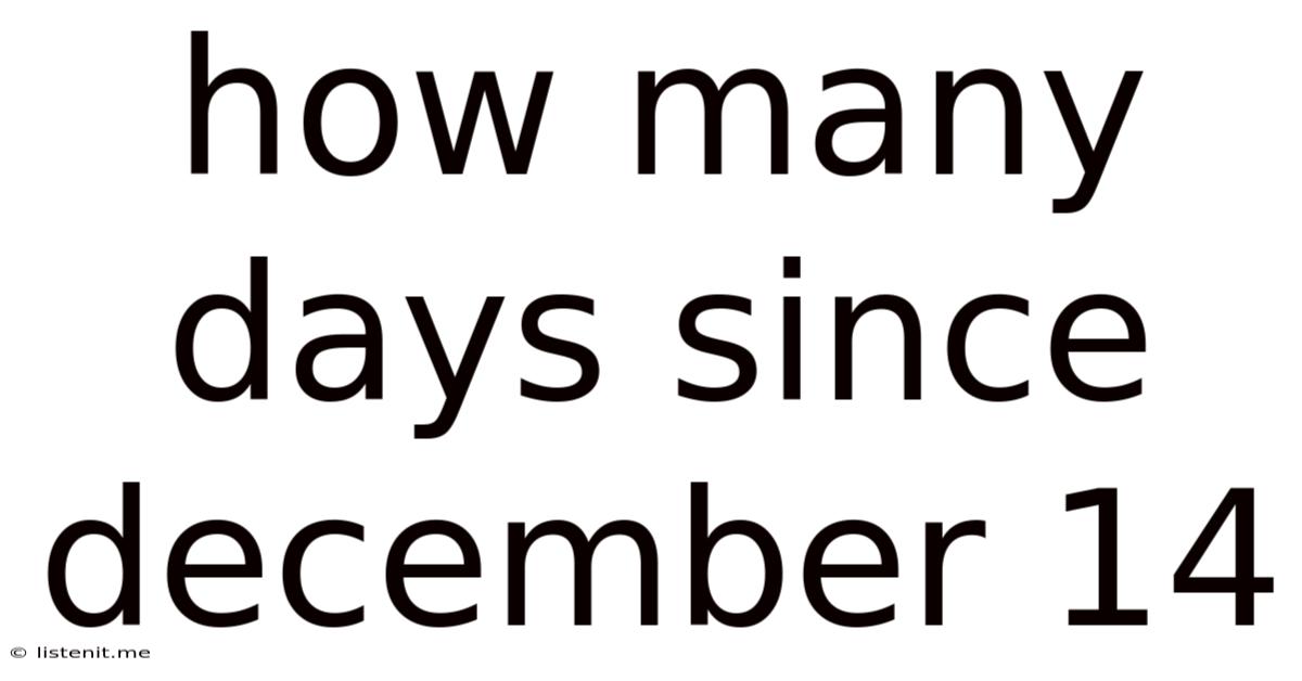 How Many Days Since December 14