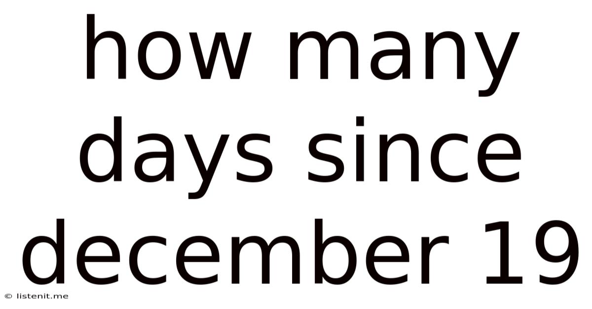 How Many Days Since December 19