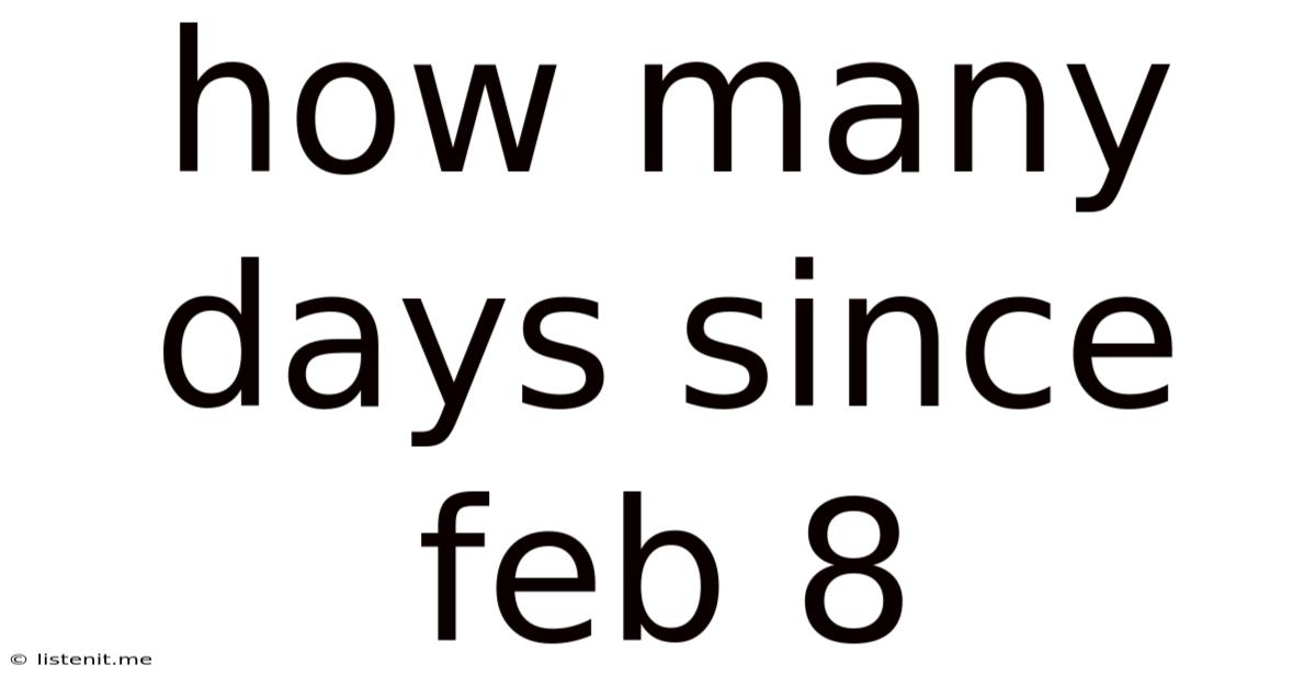How Many Days Since Feb 8