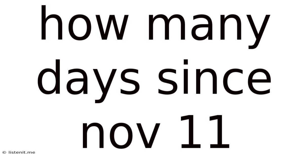 How Many Days Since Nov 11