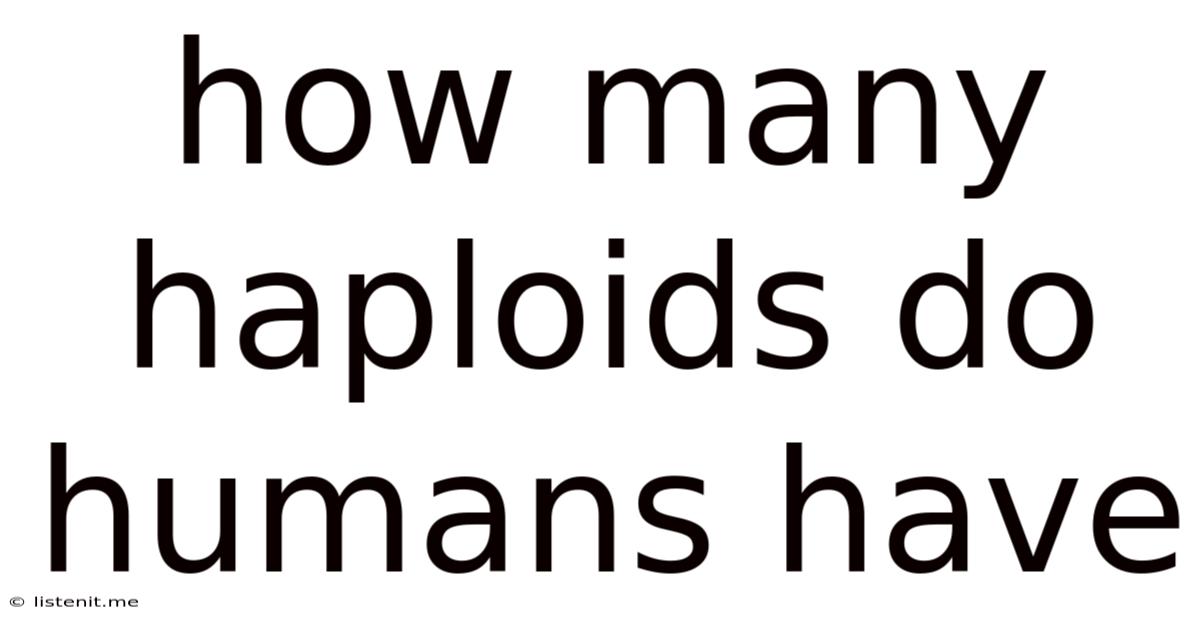 How Many Haploids Do Humans Have