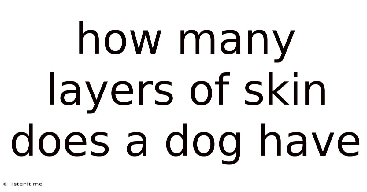 How Many Layers Of Skin Does A Dog Have