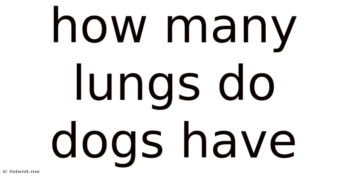 How Many Lungs Do Dogs Have