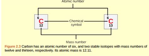 How Many Neutrons Does Carbon 12 Have