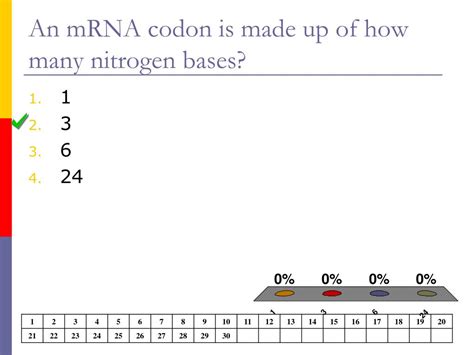 How Many Nitrogen Bases Make A Codon