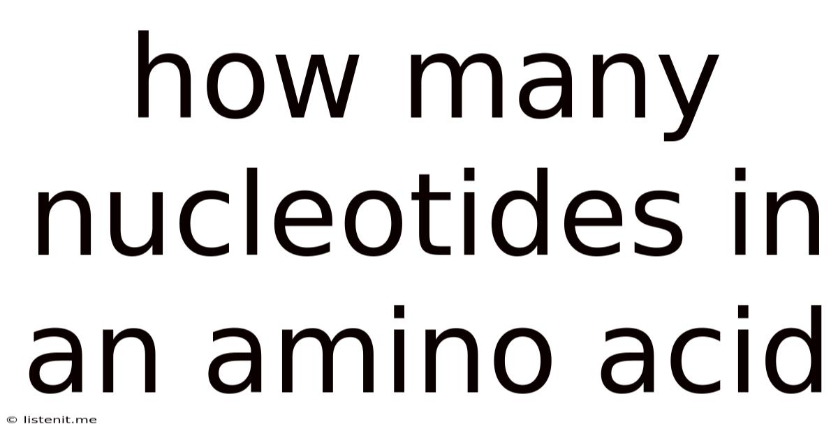 How Many Nucleotides In An Amino Acid