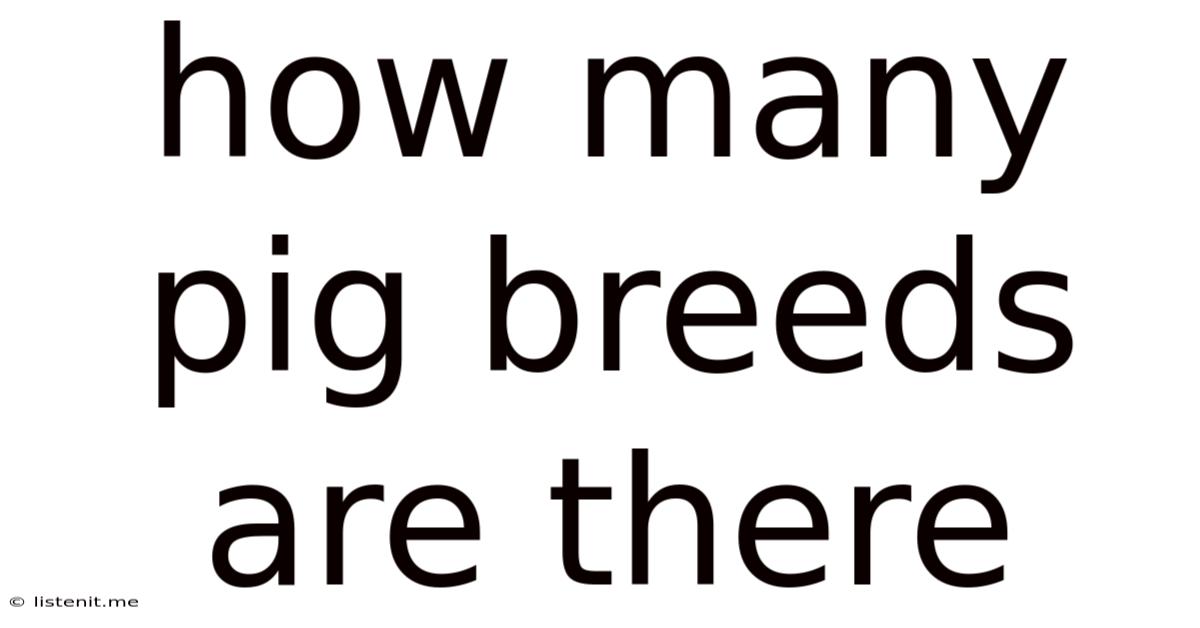 How Many Pig Breeds Are There