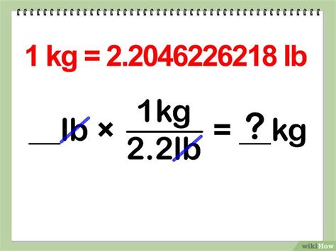 How Many Pounds Is 1.2 Kg