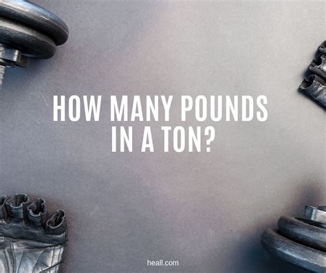 How Many Pounds Is A Quarter Ton