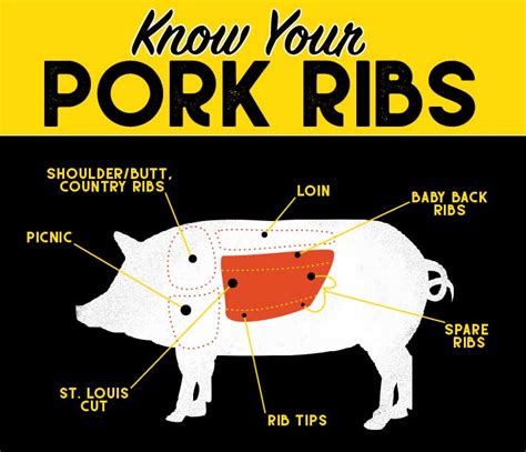 How Many Ribs Does A Pig Have