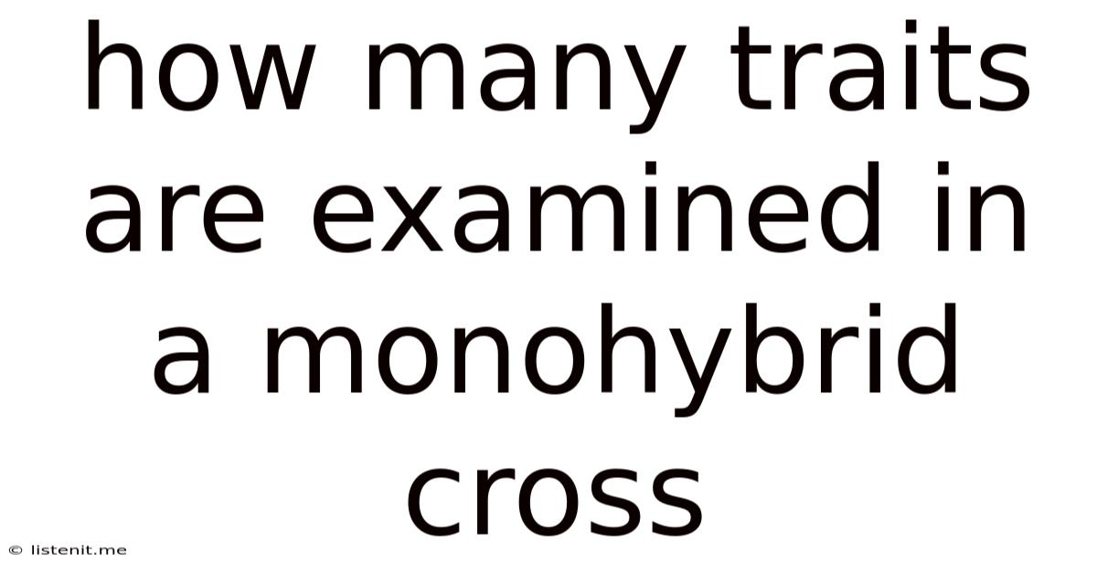 How Many Traits Are Examined In A Monohybrid Cross