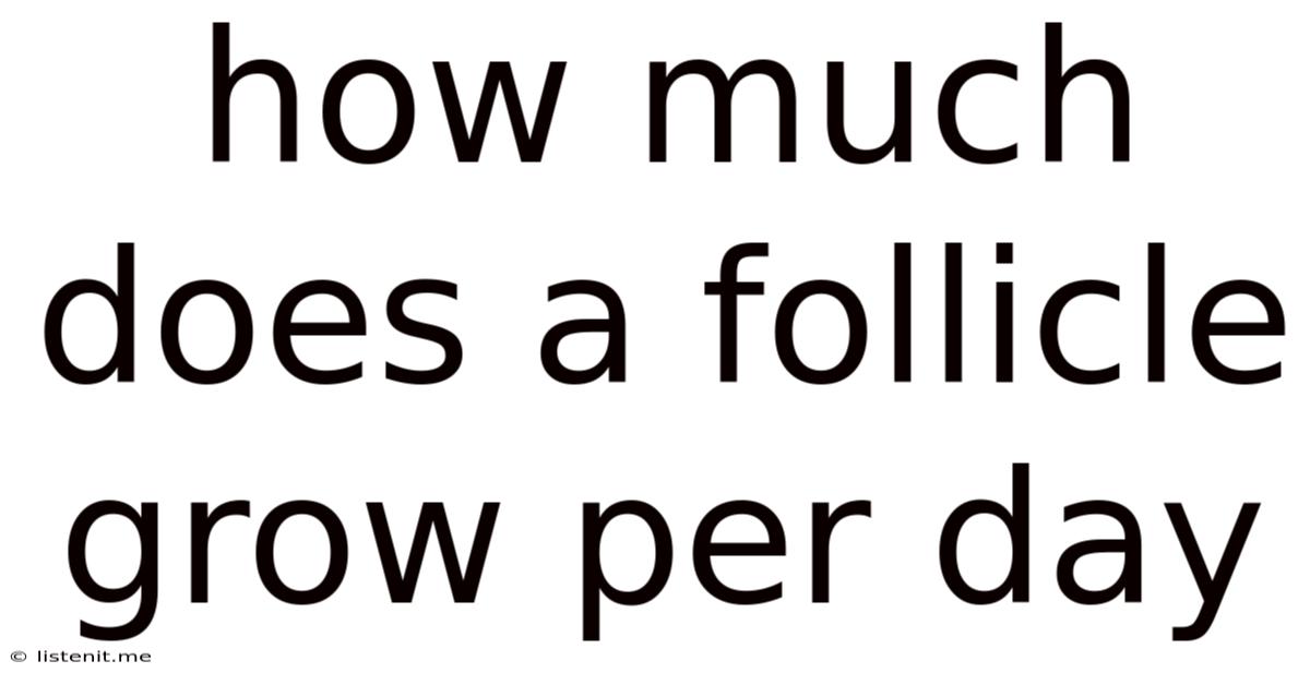 How Much Does A Follicle Grow Per Day