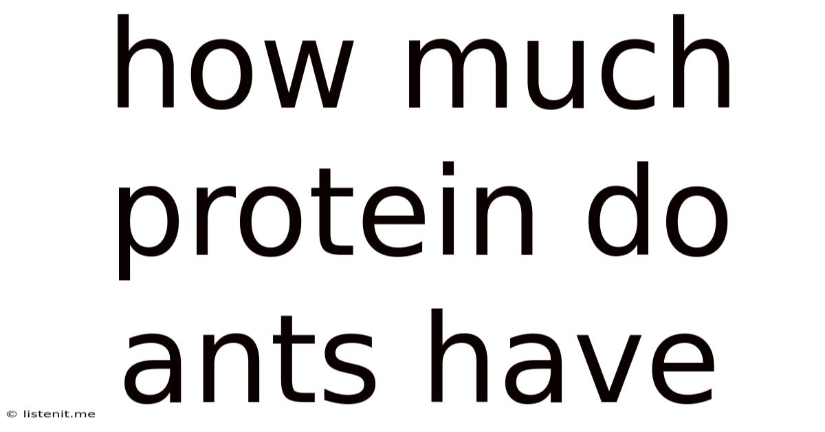 How Much Protein Do Ants Have