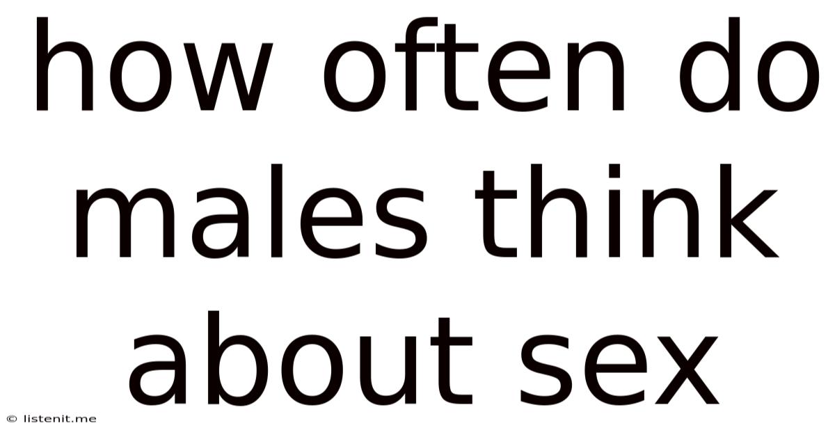 How Often Do Males Think About Sex