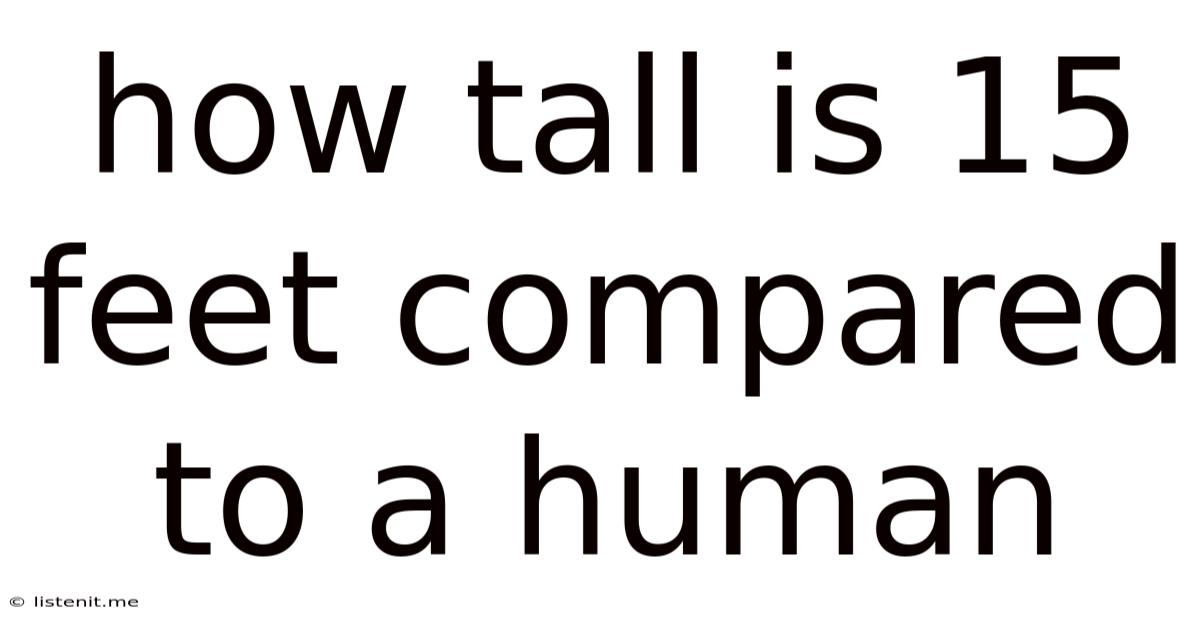 How Tall Is 15 Feet Compared To A Human