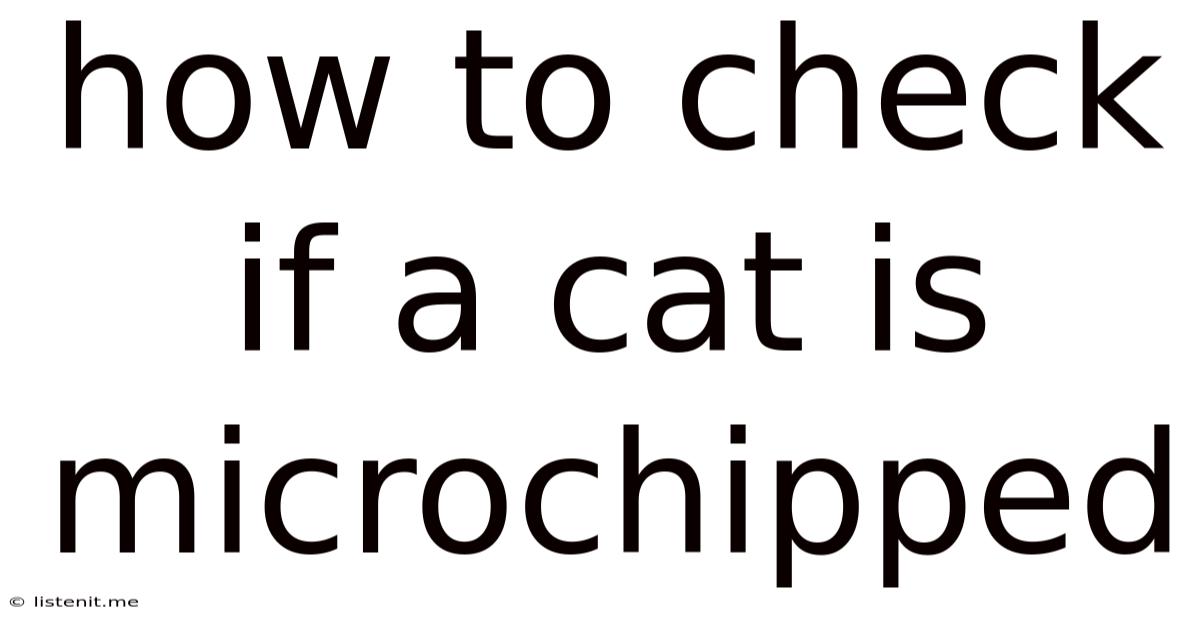 How To Check If A Cat Is Microchipped