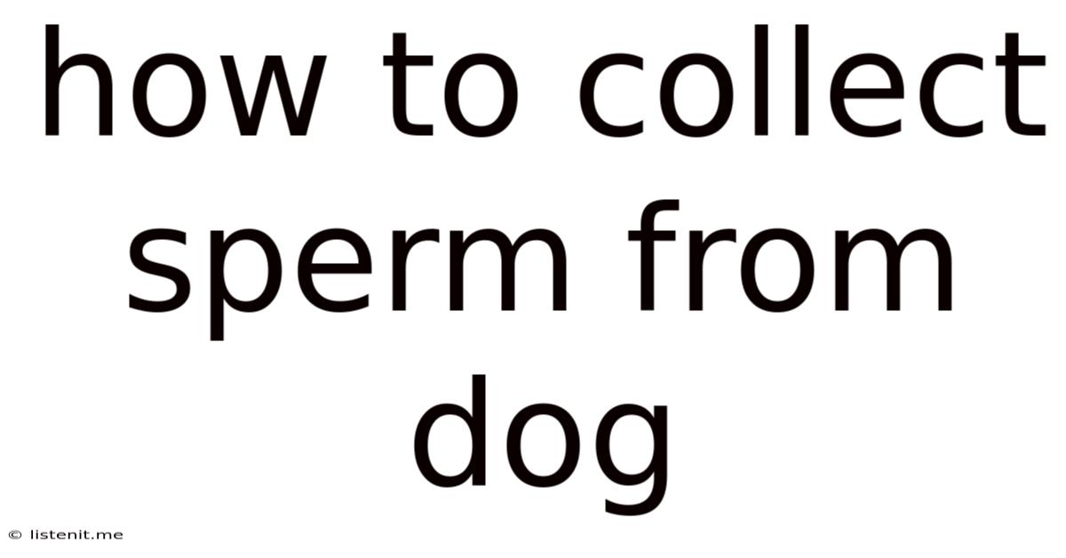 How To Collect Sperm From Dog