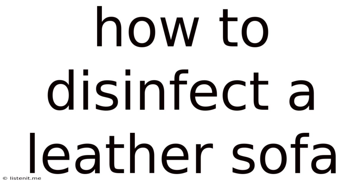 How To Disinfect A Leather Sofa