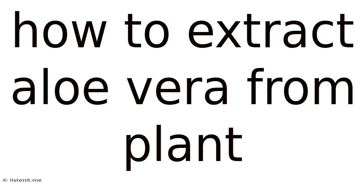 How To Extract Aloe Vera From Plant
