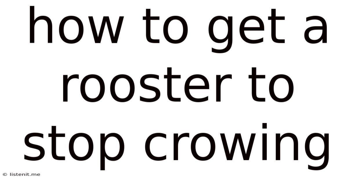 How To Get A Rooster To Stop Crowing